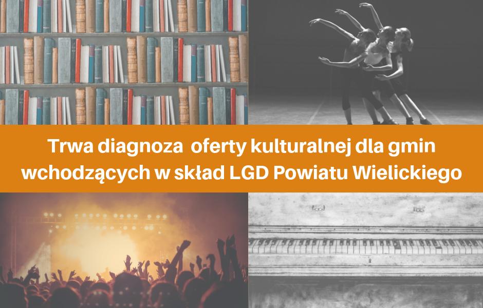 Kontynuujemy diagnozę oferty kulturalnej